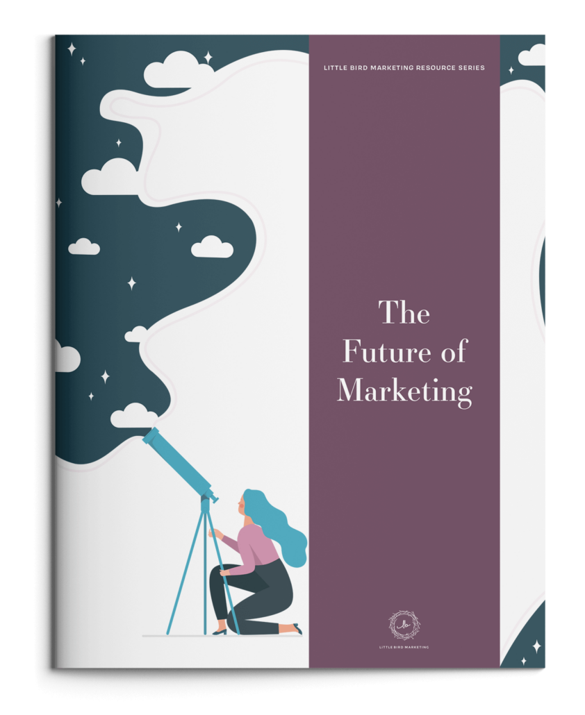 lbm-lead-magnet-booklet-mockup-future-of-marketing