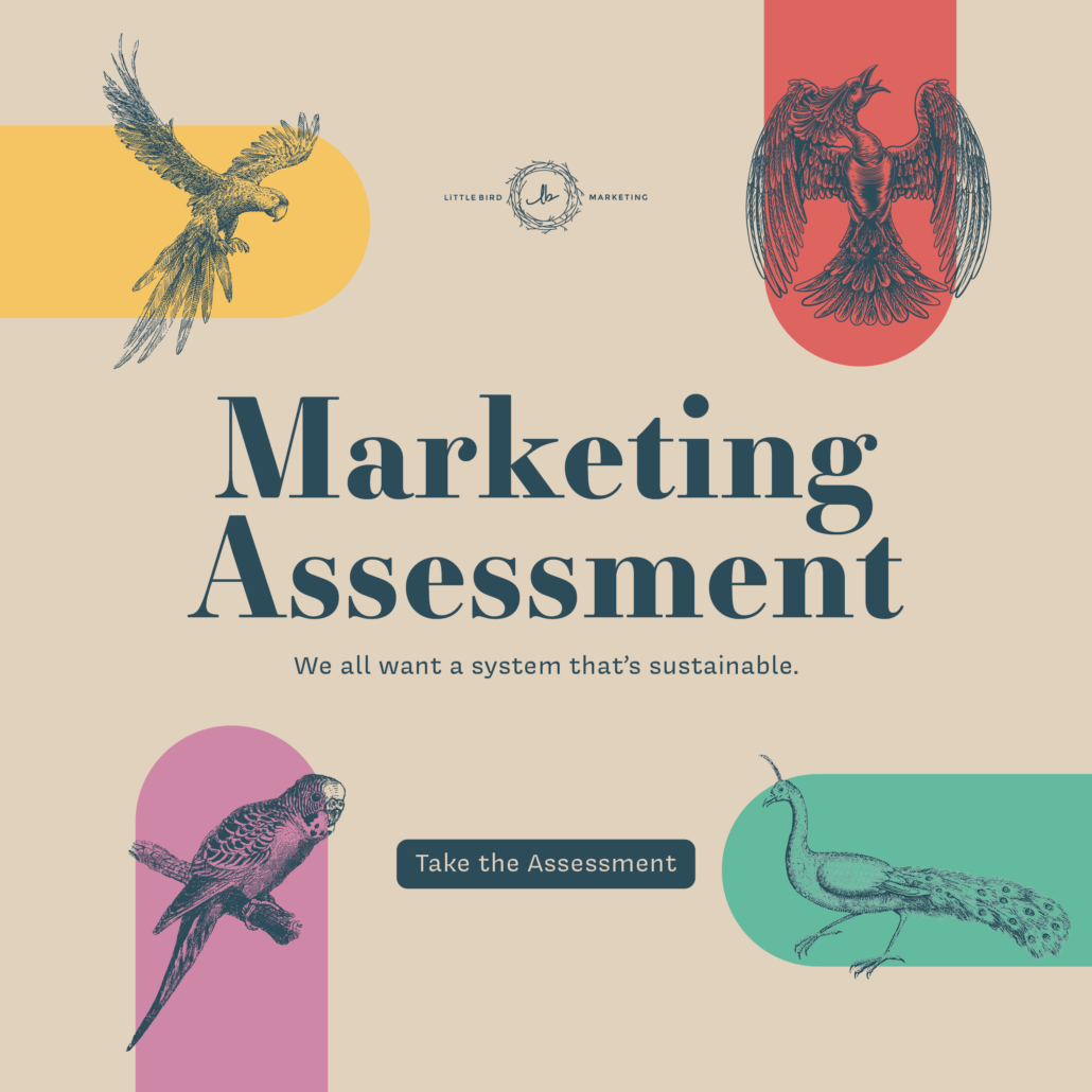 2022-lbm-marketing-assessment-social-sq