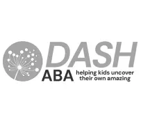 dash-495x400-1.webp